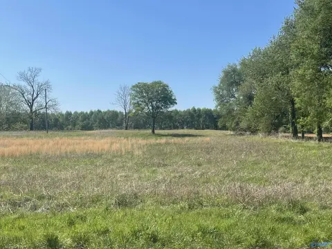 Residential Land in Florence, AL
