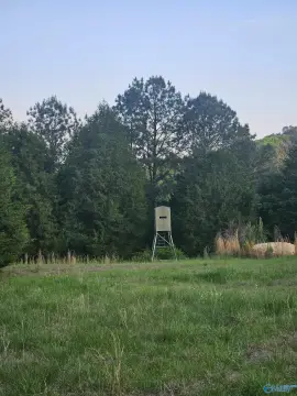 Secluded Acreage in Gadsden, Alabama