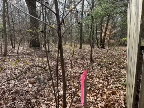 Buildable Wooded Land For Sale