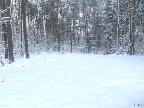 Friendship NY Recreational Land