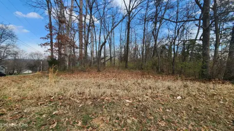 Half-Acre Wooded Knoxville Building Lot
