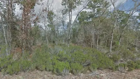 Residential Land in Interlachen, FL
