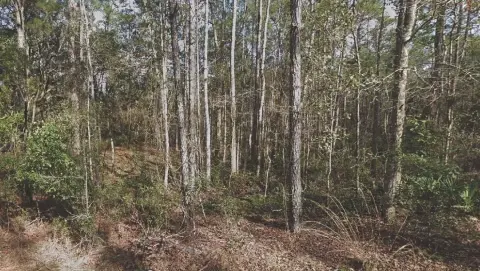 Residential Land in Palatka, Florida
