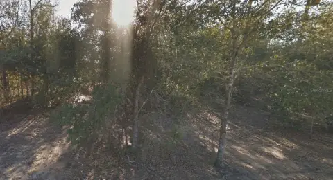 Corner Lot in Interlachen, FL