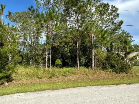Residential Land in Palm Coast