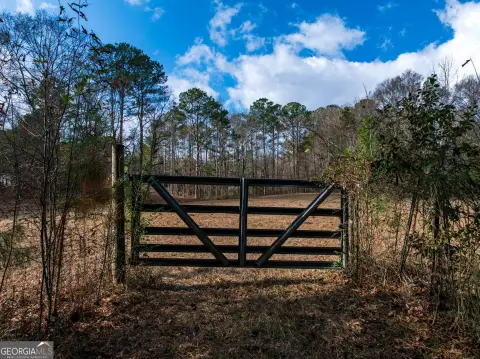 Residential Lot in Shiloh, GA