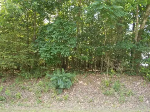 Residential Lot in Established Neighborhood