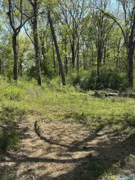 Residential Lot in Gadsden, AL