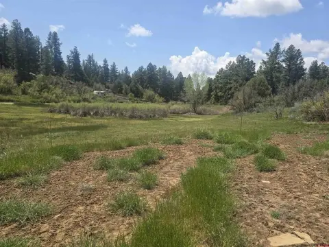 Residential Lot in Pagosa Springs