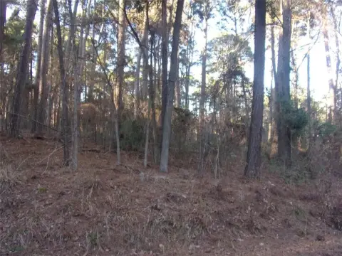 Heavily Treed Land Near Lake