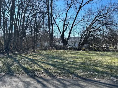 Corner Lot in Youngstown, OH