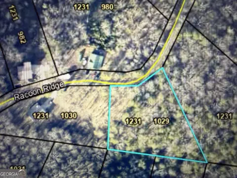 Wooded Lot in Gated Community