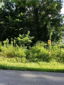 60-Acre Land Tract in Henderson