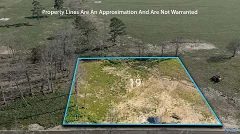 Rainsville, AL Land Opportunity