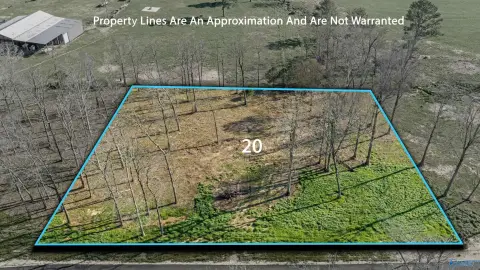Rainsville Land in New Subdivision