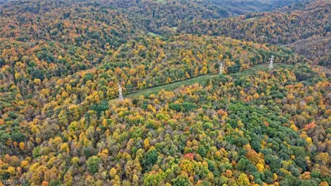Wooded Hunting Land