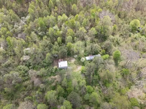 52 Acres Near Wayne Forest