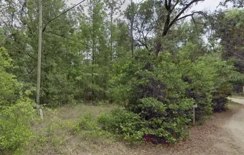 Wooded Lot in Rural Neighborhood