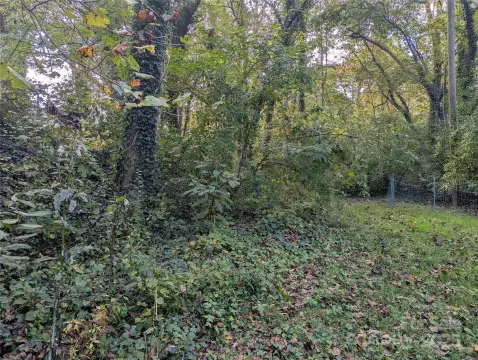 Wooded Lot Near Biltmore Village
