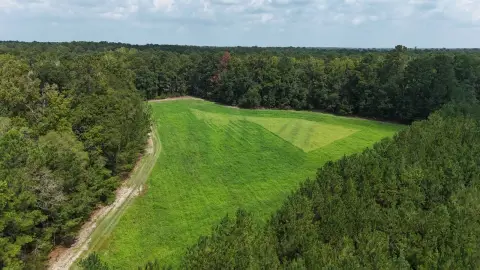 Hunting Land with Internal Roads