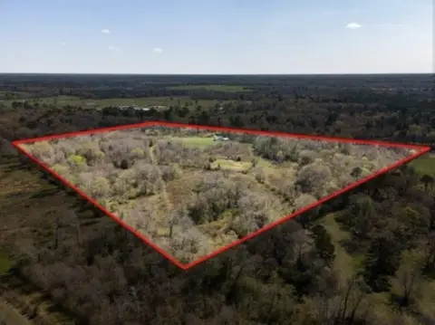 49.99 Acres in Carthage, TX