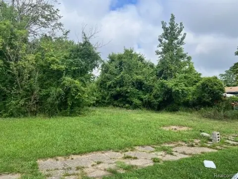 Detroit Land Infill Opportunity