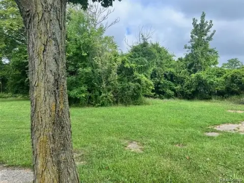 Detroit Land Infill Opportunity