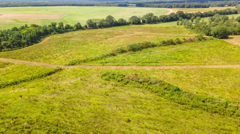 Agricultural Land Parcel for Equestrian Use