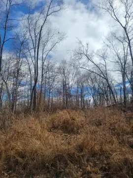 Level Lot in Holiday Shores