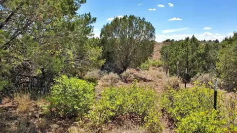 40 Acres Bordering BLM Land