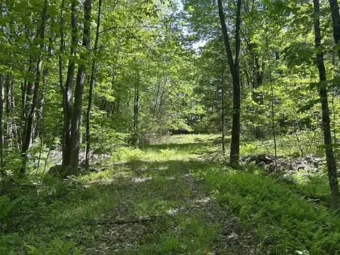 Cleared Residential Building Lot