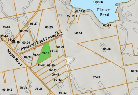 Wooded Hunting Land