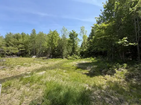 Hunting Land with Installed Driveway