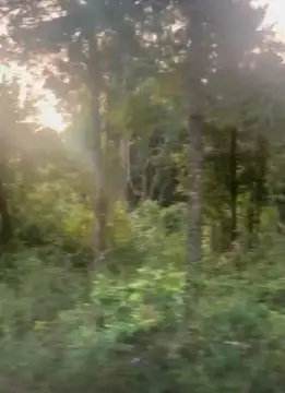 Residential Lot Near Equestrian Center