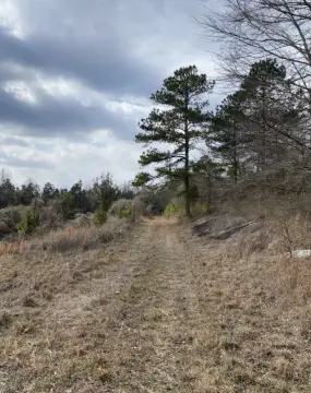Ragland, AL Vacant Land