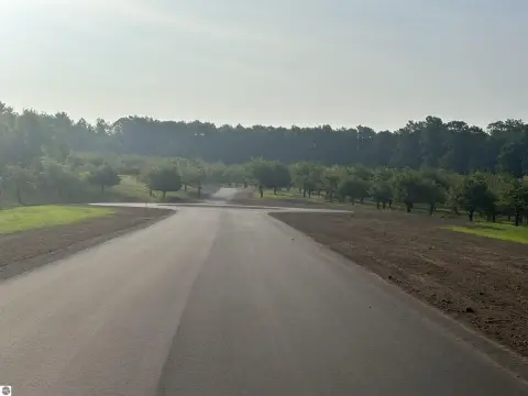 Wooded Lot Near Glen Arbor