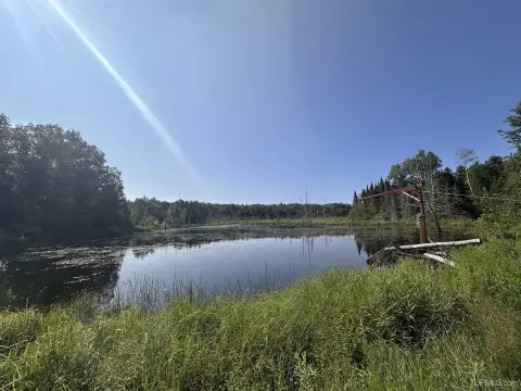 Wooded Waterfront Recreation Land