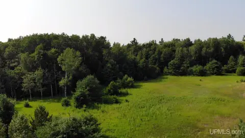 Vacant Land Parcel with Mature Forest