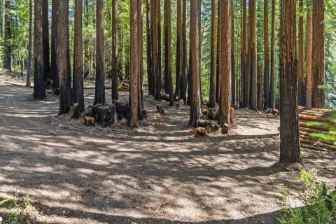 Usable Land in Boulder Creek