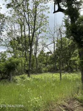 Unrestricted Land in Lenoir City