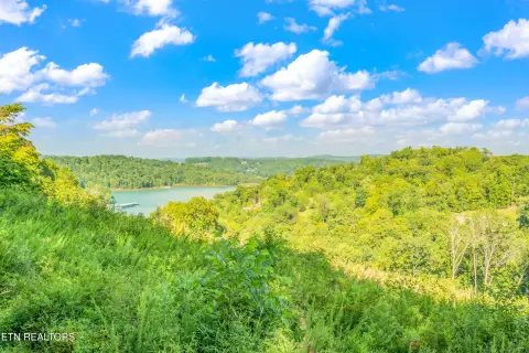 Land Near Norris Lake