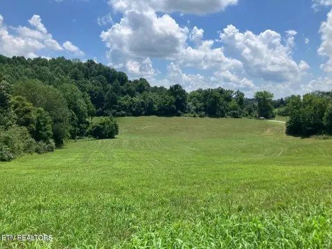 New Tazewell Acreage for Mini-Farm