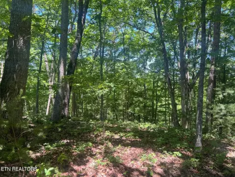 Crossville, TN Wooded Lot