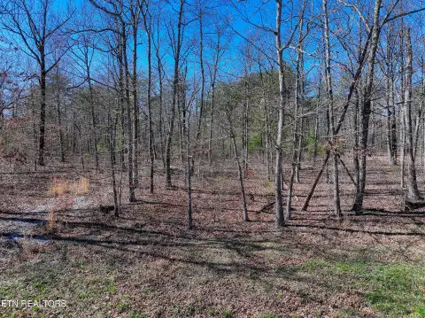 Pikeville, TN 1.17 Acre Lot