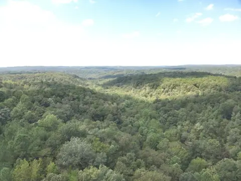 Wooded Hunting Land with Road Frontage