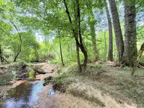 Creekfront Hunting Land Tract