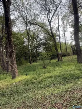 Land For Sale, Arab, AL