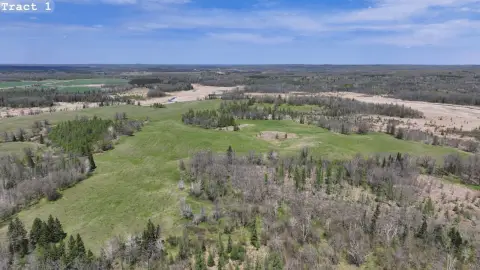 Hunting Land Tract Auction