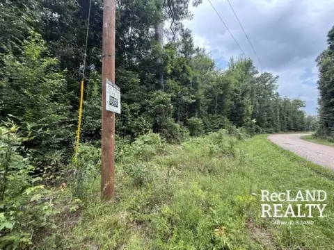 Wooded Home Site Acreage
