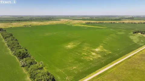 Farmland Auction Tract